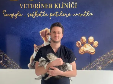 Afyon Kedi Muayenesi